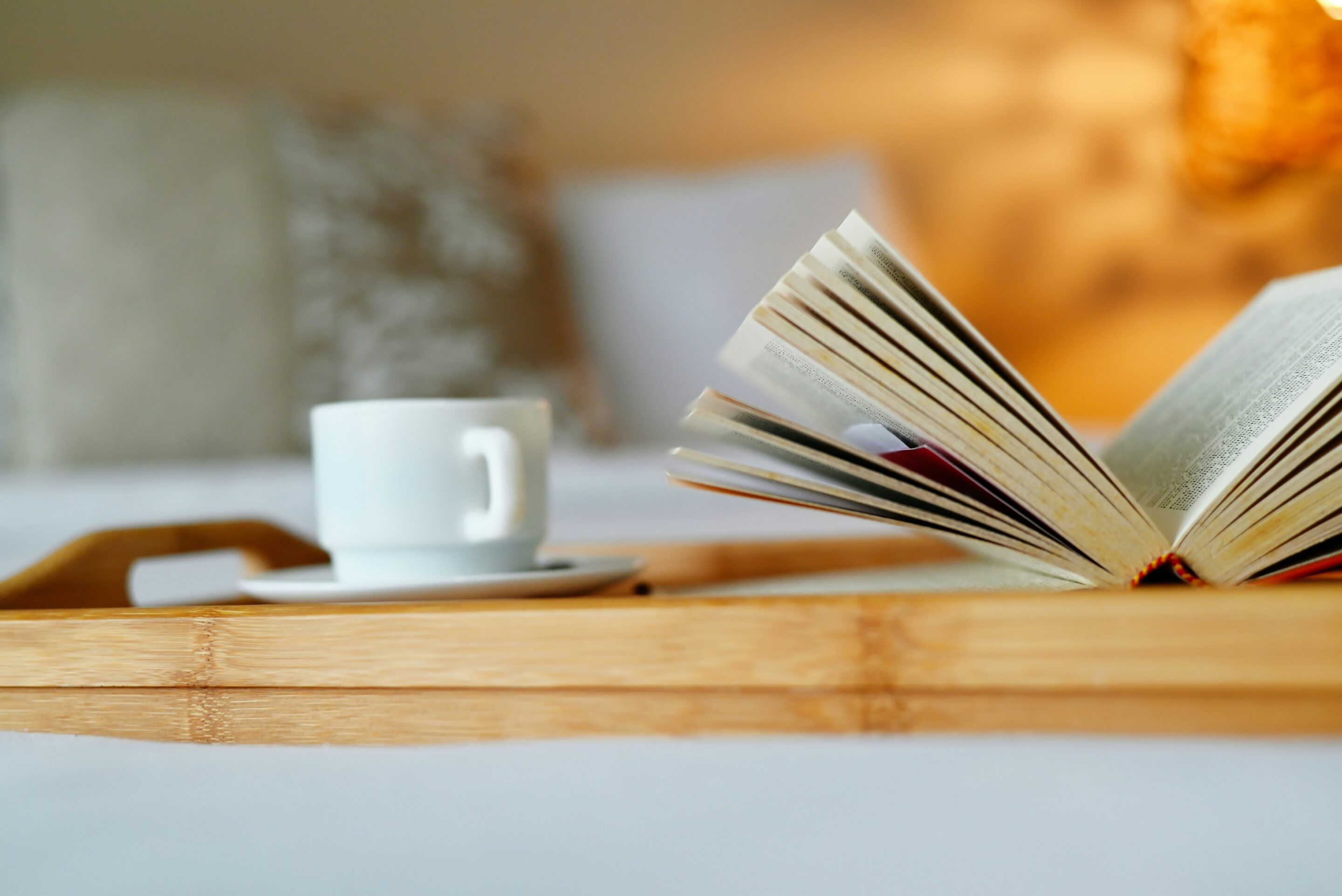 chalo-garcia-KD4KM0IW3nE-unsplash chalo garcia KD4KM0IW3nE unsplash scaled